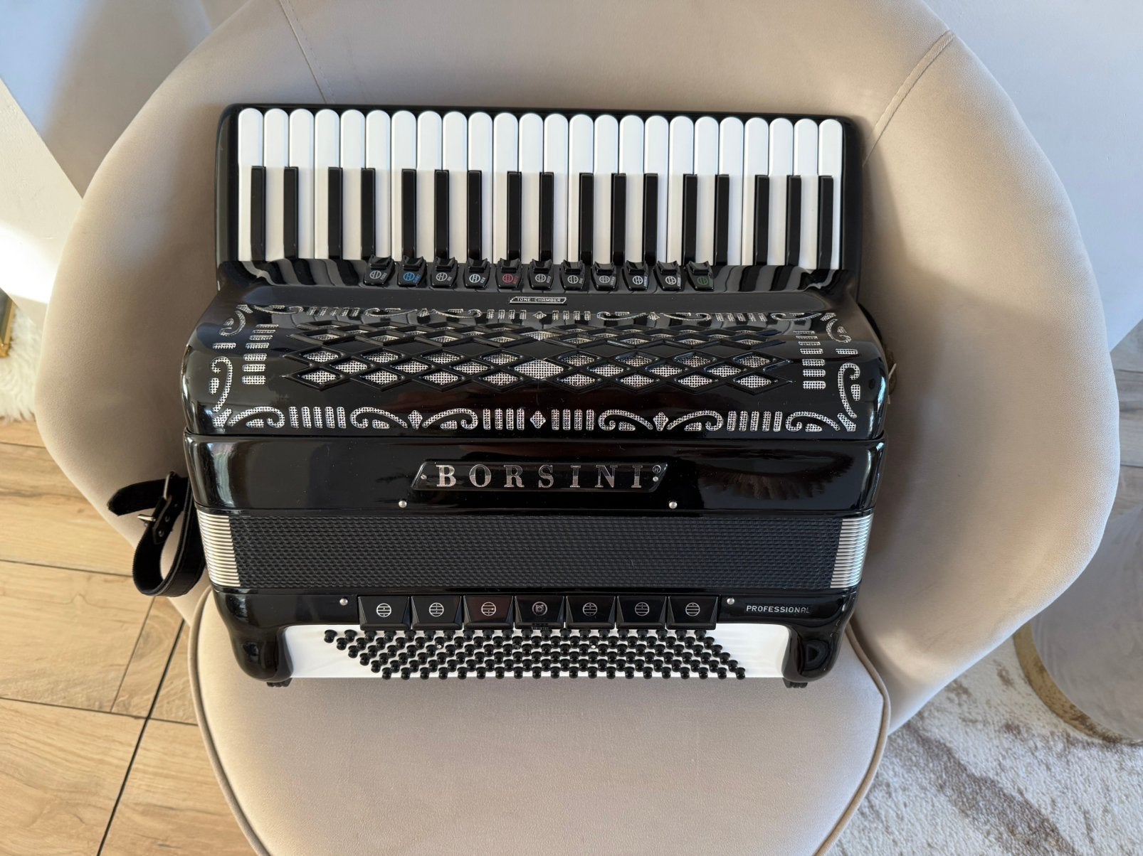 Accordeon Borsini Professional Cassotto, Musique & Instruments, Accordéons, Comme neuf, Avec valise, Enlèvement ou Envoi