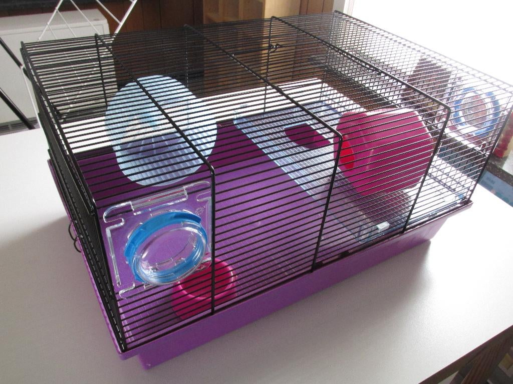 Kooi voor kleine knaagdieren (hamster, muis, ...) NIEUW, Ophalen, Nieuw, Kooi, Muis