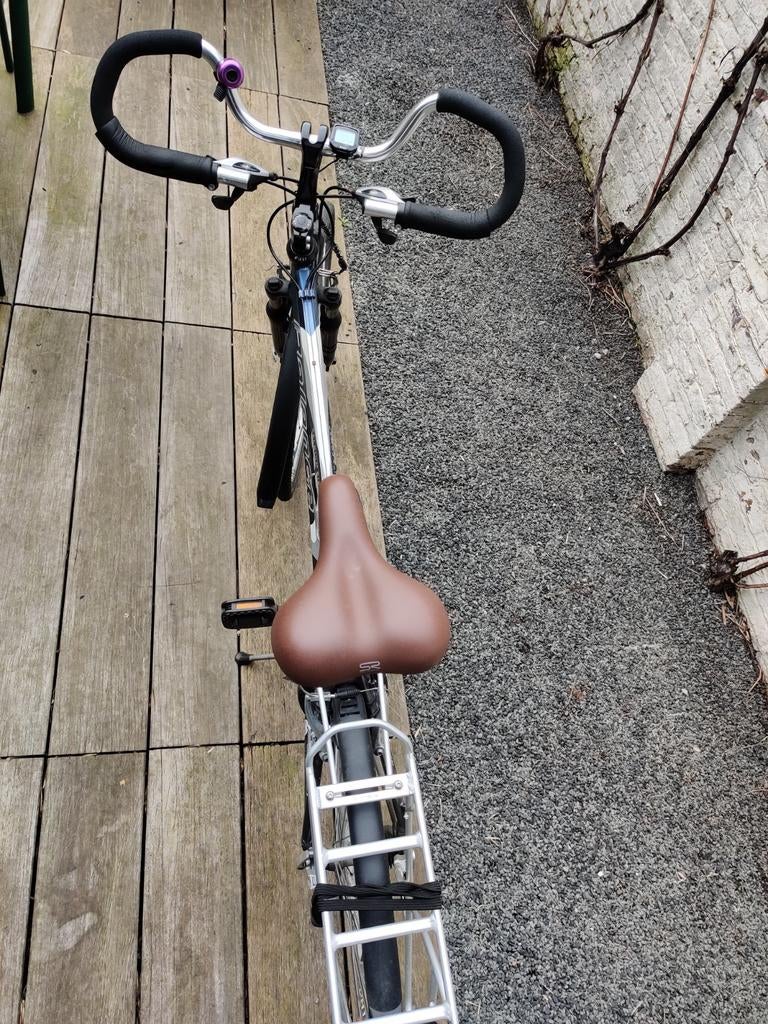 Herenfiets, Fietsen en Brommers, Fietsen | Heren | Herenfietsen, Ophalen