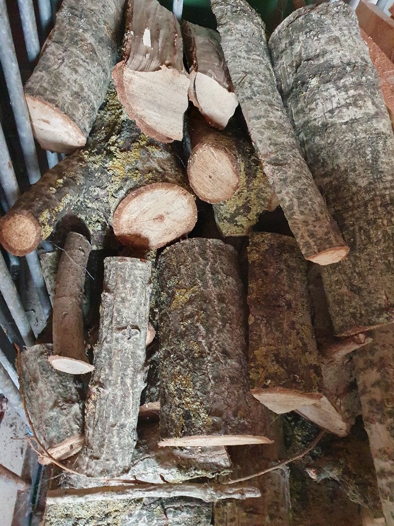 Populieren hout, Ophalen, Overige houtsoorten, Blokken