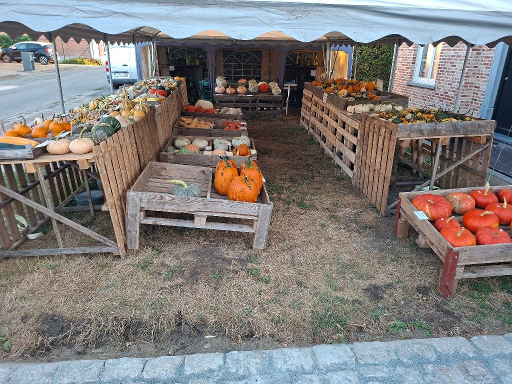 Pompoenen en siervruchten, Ophalen
