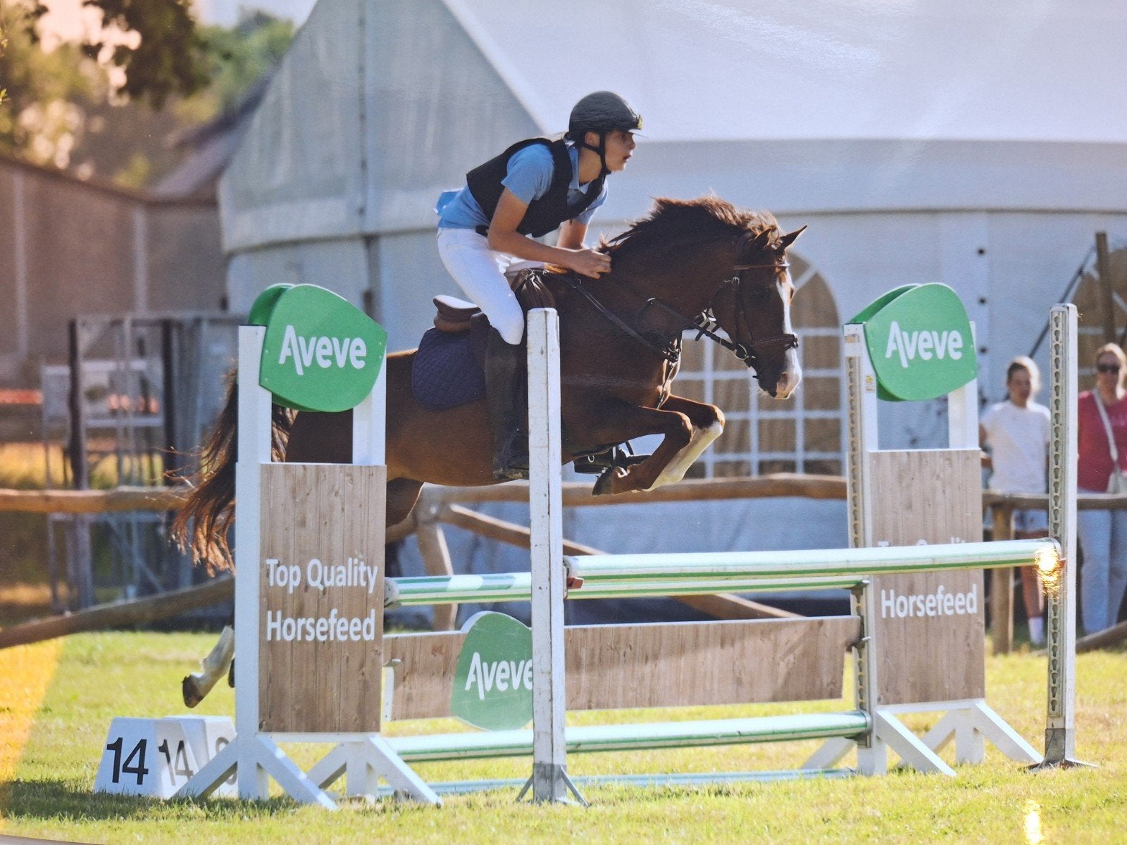 D pony merrie wegens overgang nr paarden., Tickets & Billets, Sport | Autre