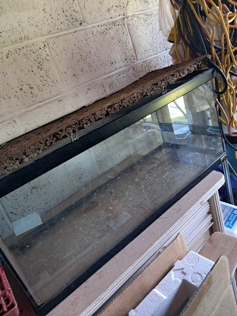 Propere Terrarium met toebehoren, Dieren en Toebehoren, Ophalen, Gebruikt, Terrarium of Paludarium