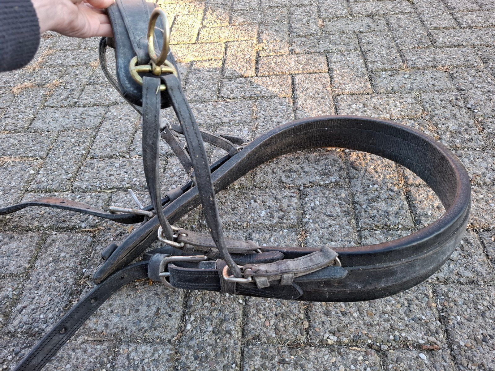 borsttuig met strengen voor beleren kar/slee, Ophalen, BR, Borsttuig, Cob