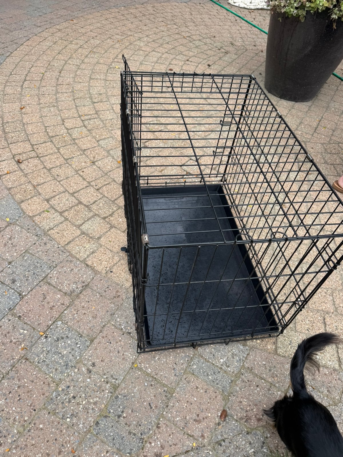 Bench hond of kat, Dieren en Toebehoren, Ophalen, Zo goed als nieuw