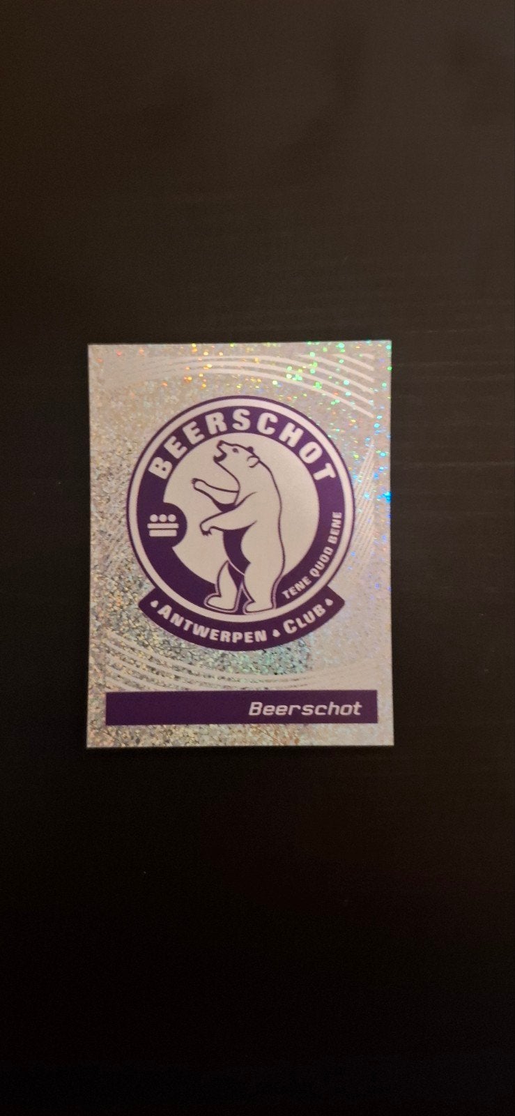 Panini voetbal 2012, Ophalen of Verzenden