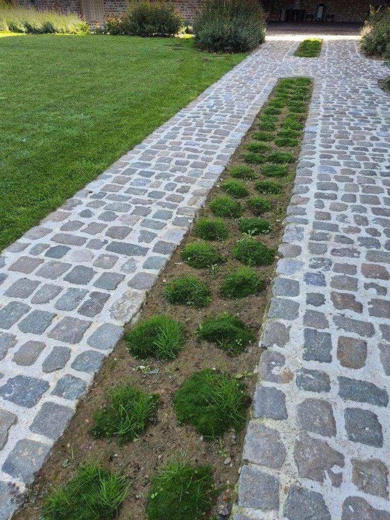 kassei - 100m² - 20 eur/m² - Porfier, Tuin en Terras, Ophalen, Gebruikt, Blauw, Overige typen