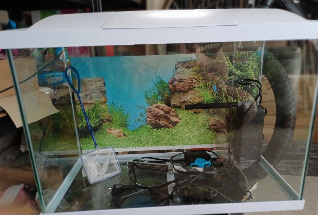 Aquarium 60 liter, Ophalen, Filter