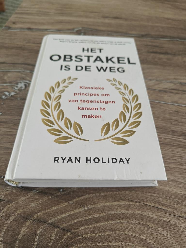 Ryan Holiday - Het obstakel is de weg, Boeken, Ophalen of Verzenden, Ryan Holiday