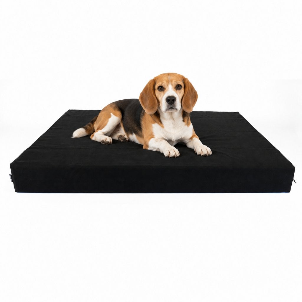 Orthopedische hondenmand M - Beagle, Franse Bulldog, Cocker, Dieren en Toebehoren, Overige merken, Verzenden, Nieuw, Hondenmand
