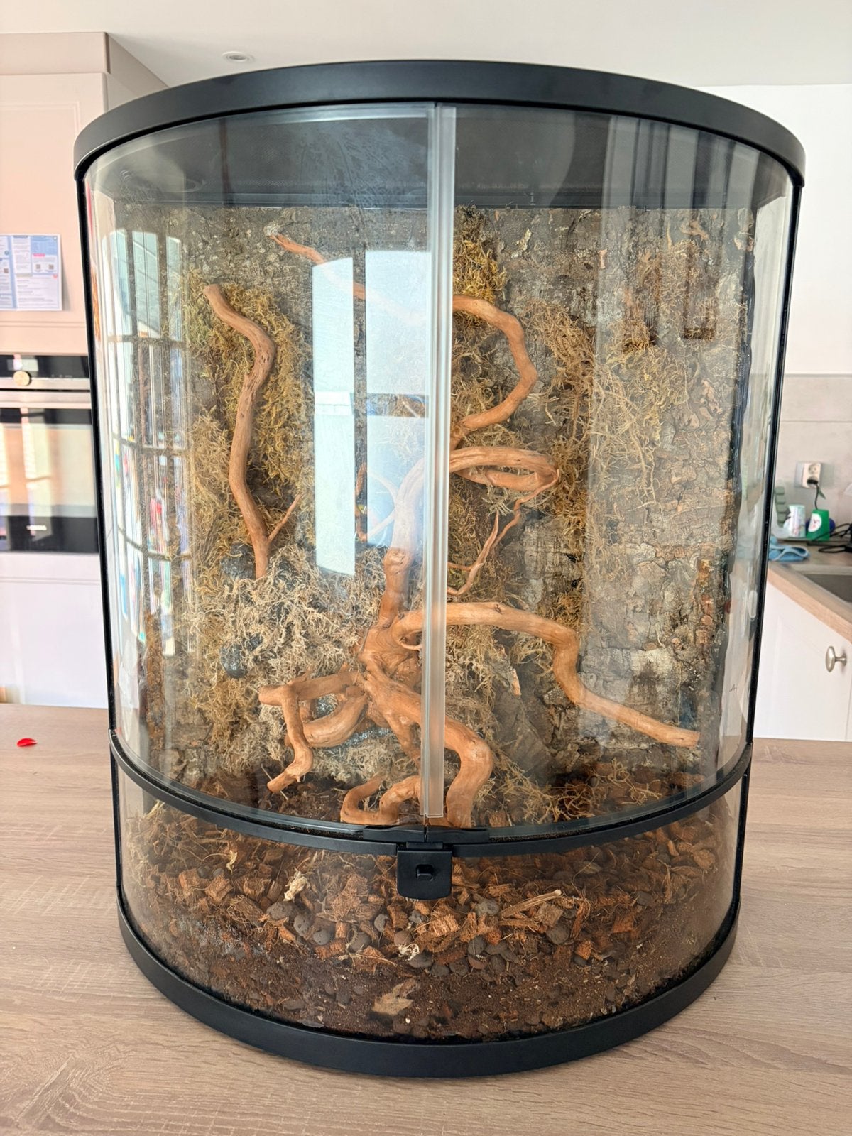 Terrarium repto terra half moon, Enlèvement, Comme neuf
