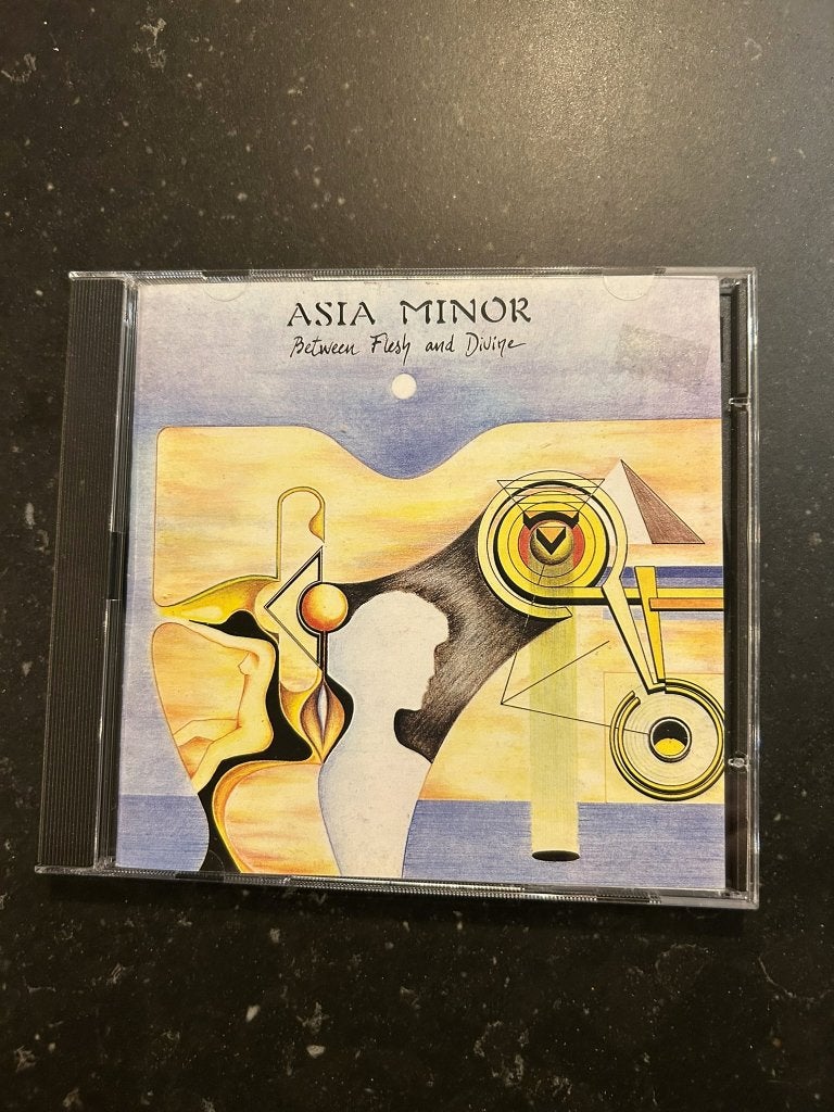 Asia Minor  'between flesh and divine', Cd's en Dvd's, Ophalen of Verzenden, Zo goed als nieuw, Progressive Rock, Album