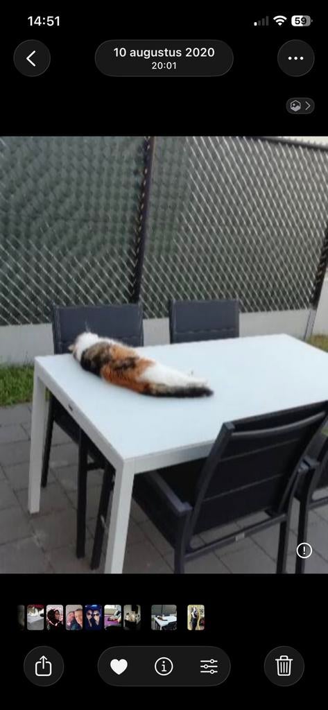 Tuin tafel, Tuin en Terras, Tuinsets en Loungesets, Ophalen, Zo goed als nieuw