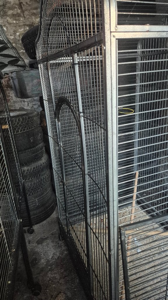 Cage perroquet, Enlèvement, Utilisé, Cage à oiseaux