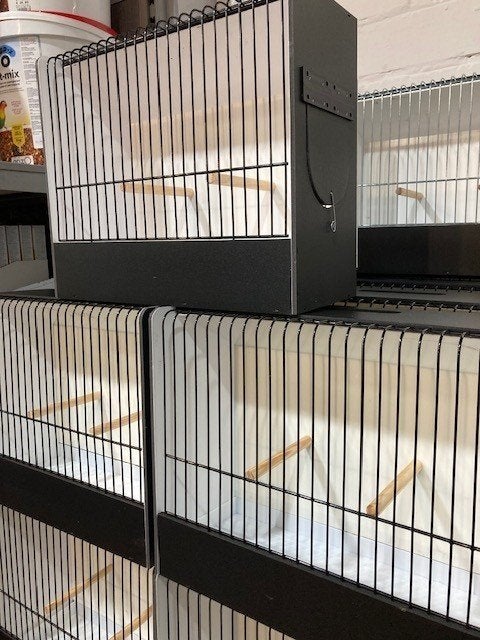 PROMO PVC TT kooien 10+1 gratis, Enlèvement, Neuf, Synthétique, Cage à oiseaux