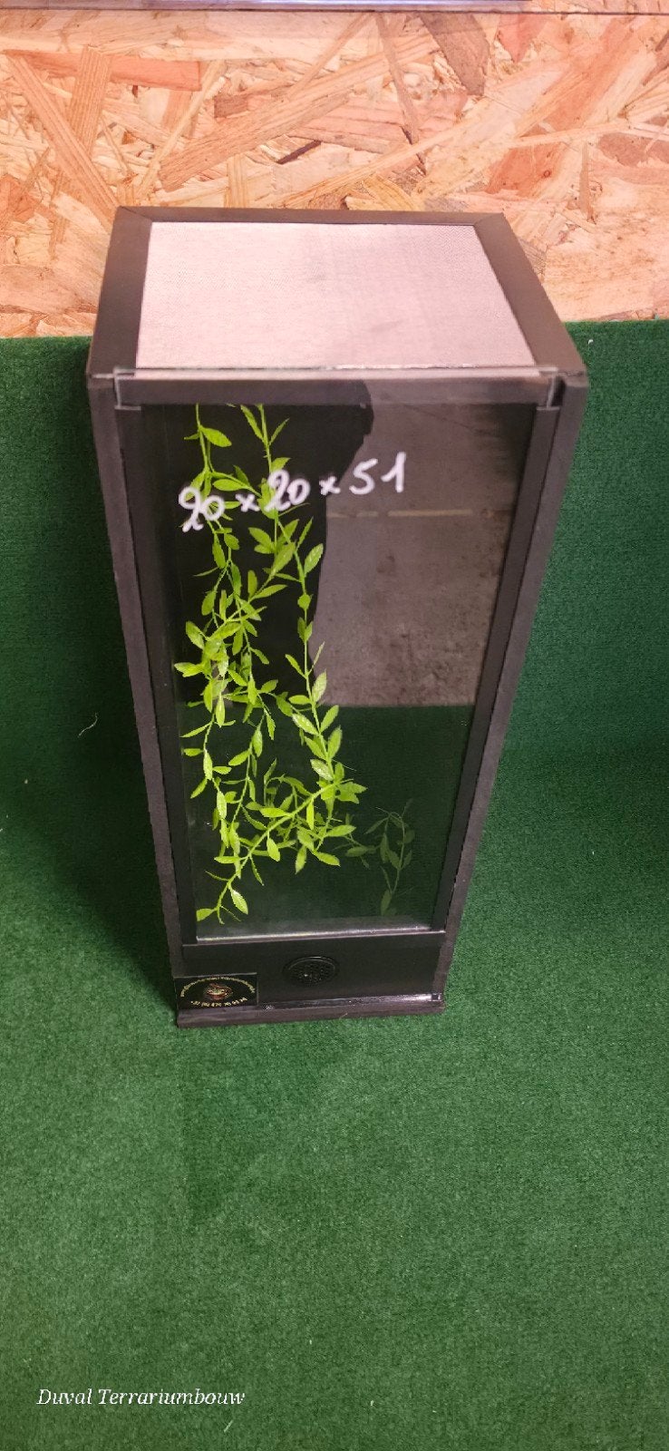 Terrarium    insecten, Ophalen