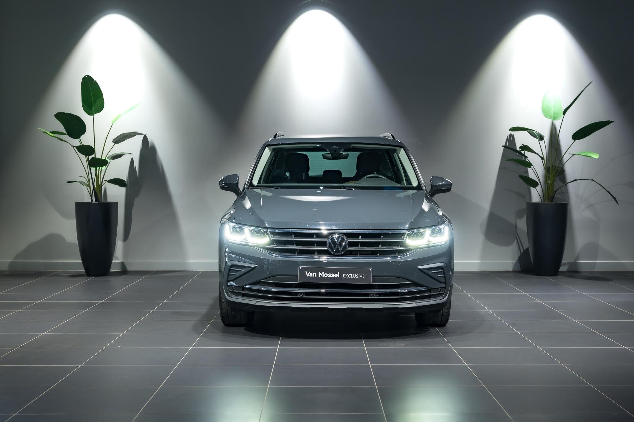 Volkswagen Tiguan eHybrid 1.5 TSI 180kW Life NAVI | ACC | CA, 245 pk, 4 cilinders, Adaptive Cruise Control, Bedrijf