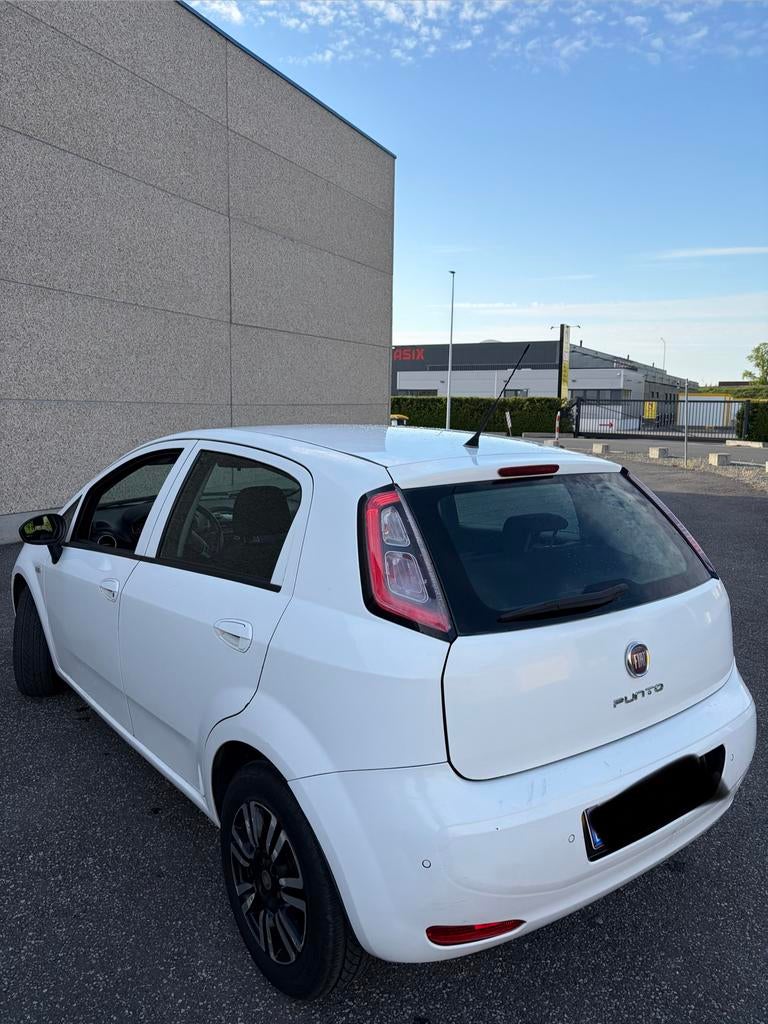Fiat Punto prete à immatriculer !, Euro 5, Achat, Particulier, Punto