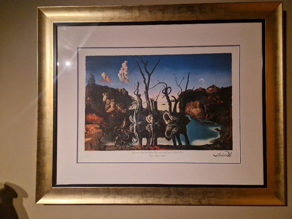 Salvador Dali " Reflection Of Elephants", Antiek en Kunst, Kunst | Litho's en Zeefdrukken, Ophalen of Verzenden