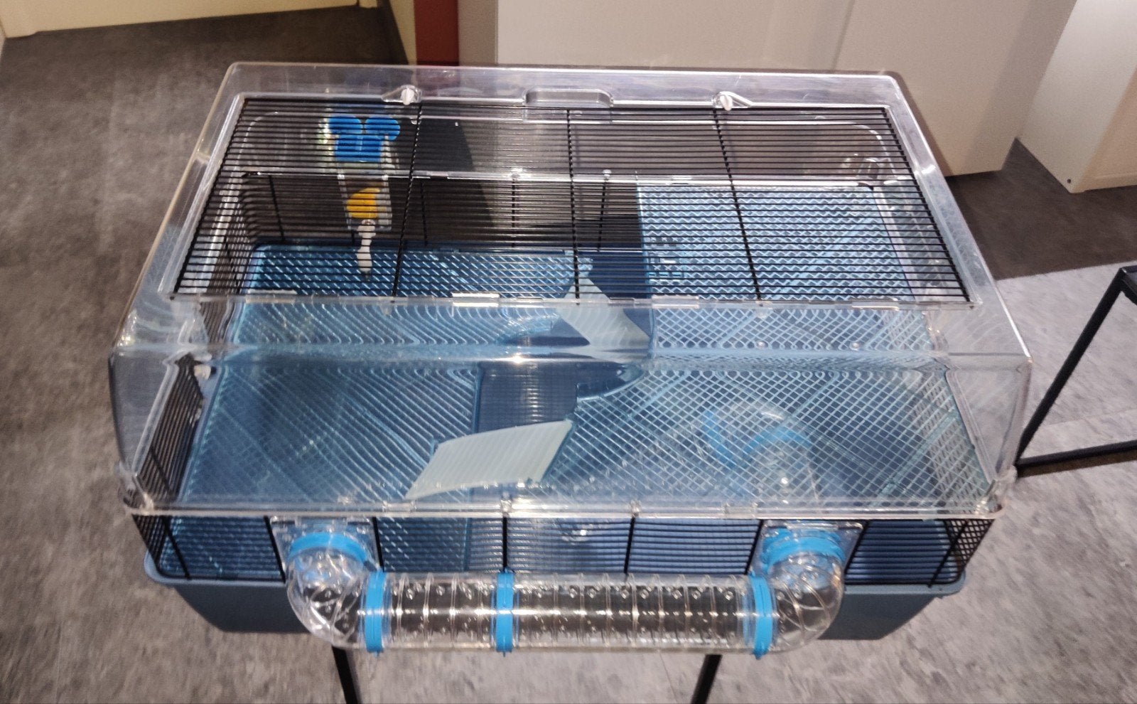 Toffe hamsterkooi 🐹, Enlèvement