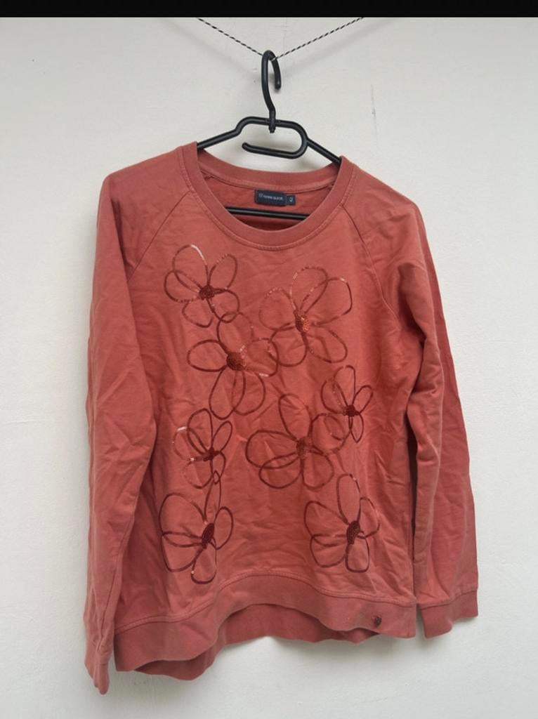 Terre bleue  sweater, Ophalen of Verzenden, Zo goed als nieuw