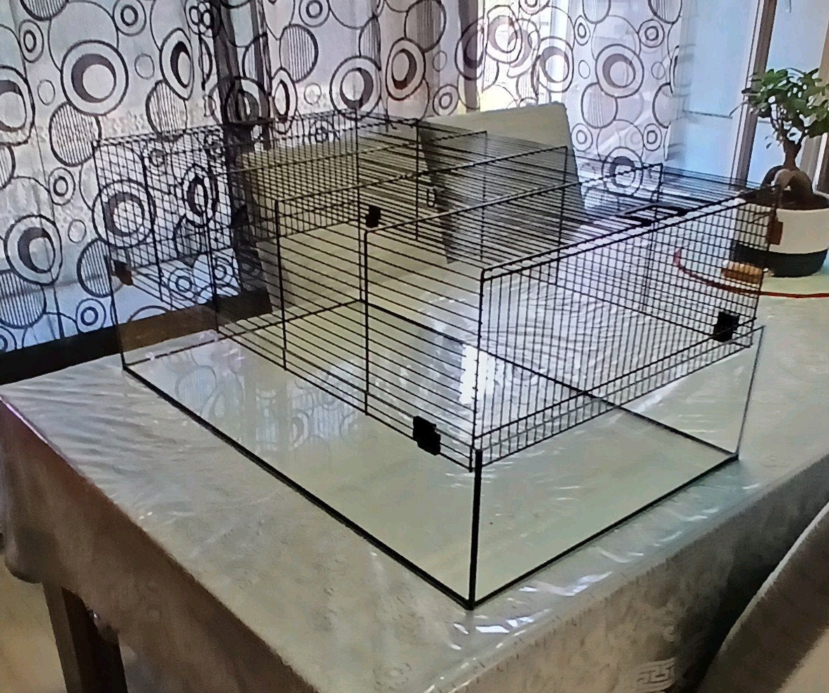 Kooi, Ophalen, Cavia