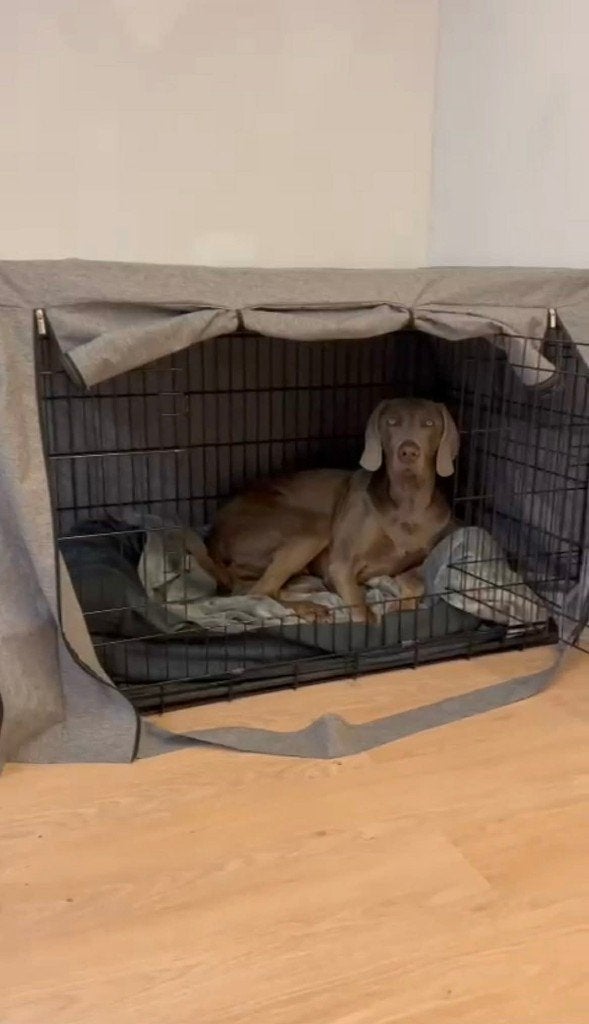 Zwarte hondenbench voor grote hond Feandrea (optionele hoes), Dieren en Toebehoren, Overige merken, Ophalen, Gebruikt, Hondenren