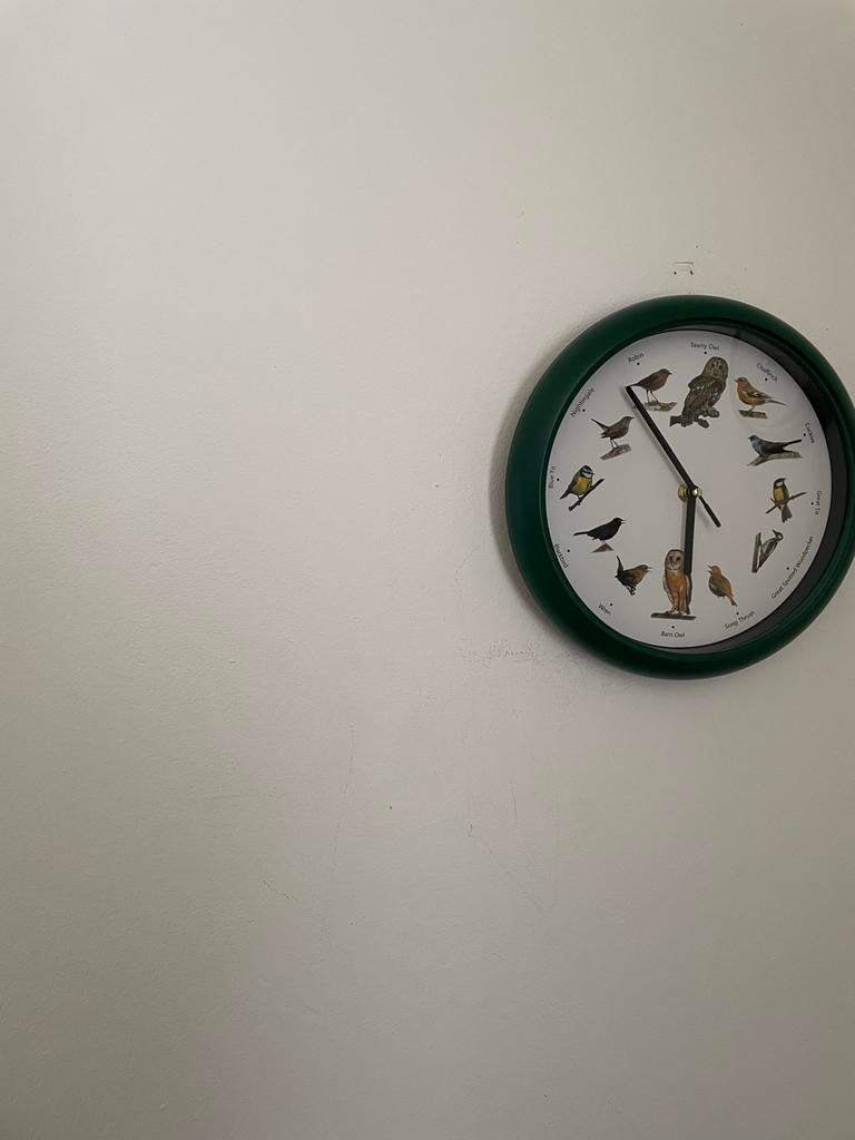Vogelklok met natuurgeluiden als nieuw, Ophalen, Zo goed als nieuw