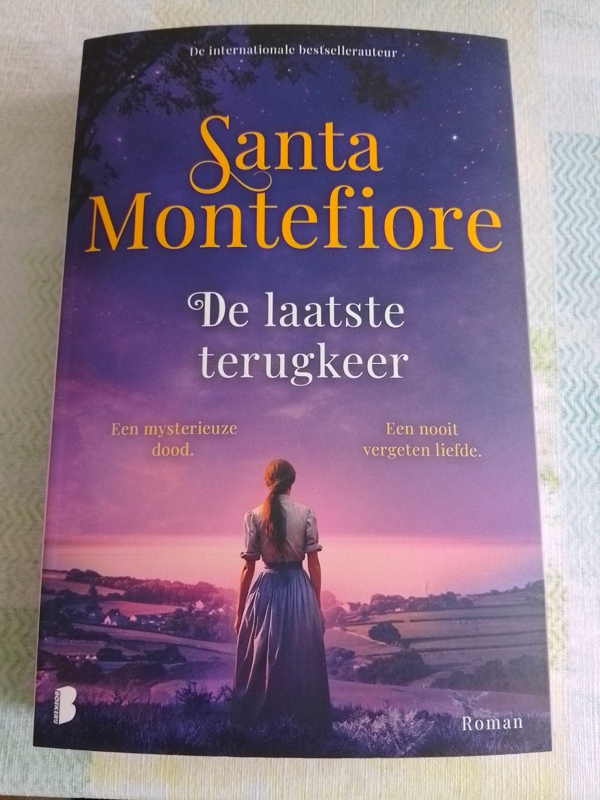De laatste terugkeer, Boeken, Romans, Ophalen of Verzenden, Zo goed als nieuw