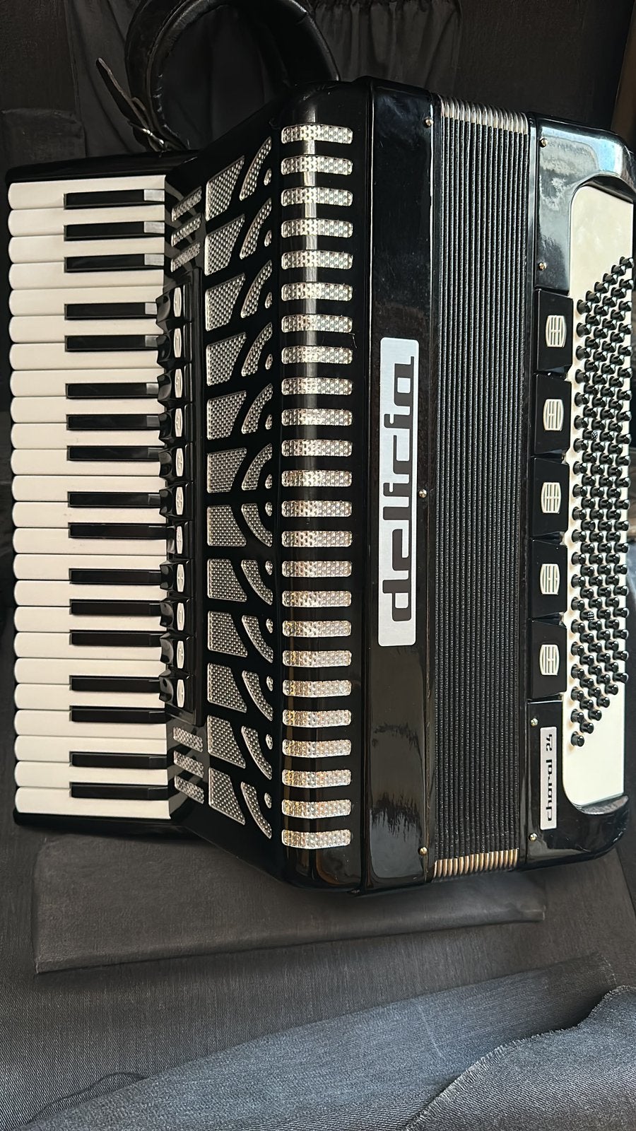 Accordeon Delicia, Musique & Instruments, Avec valise, Comme neuf, Enlèvement, 120 basses