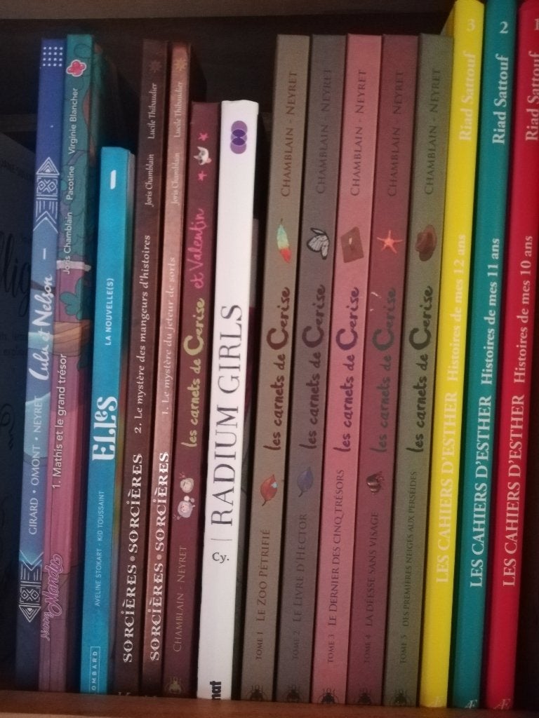 15 BD filles Les cahiers d'Ester/Cerises/Sorcières/etc., Livres, Enlèvement, Comme neuf