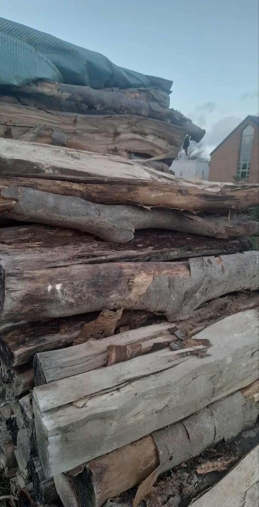 Bois de chauffage sec, Hêtre