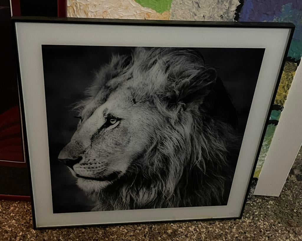 Cadre Photo Lion Noir & Blanc, Enlèvement ou Envoi