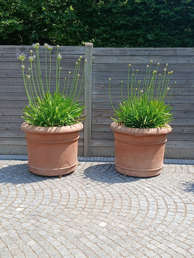 Toscaanse terracotta, Ophalen, Gebruikt, 40 cm of meer, Rond