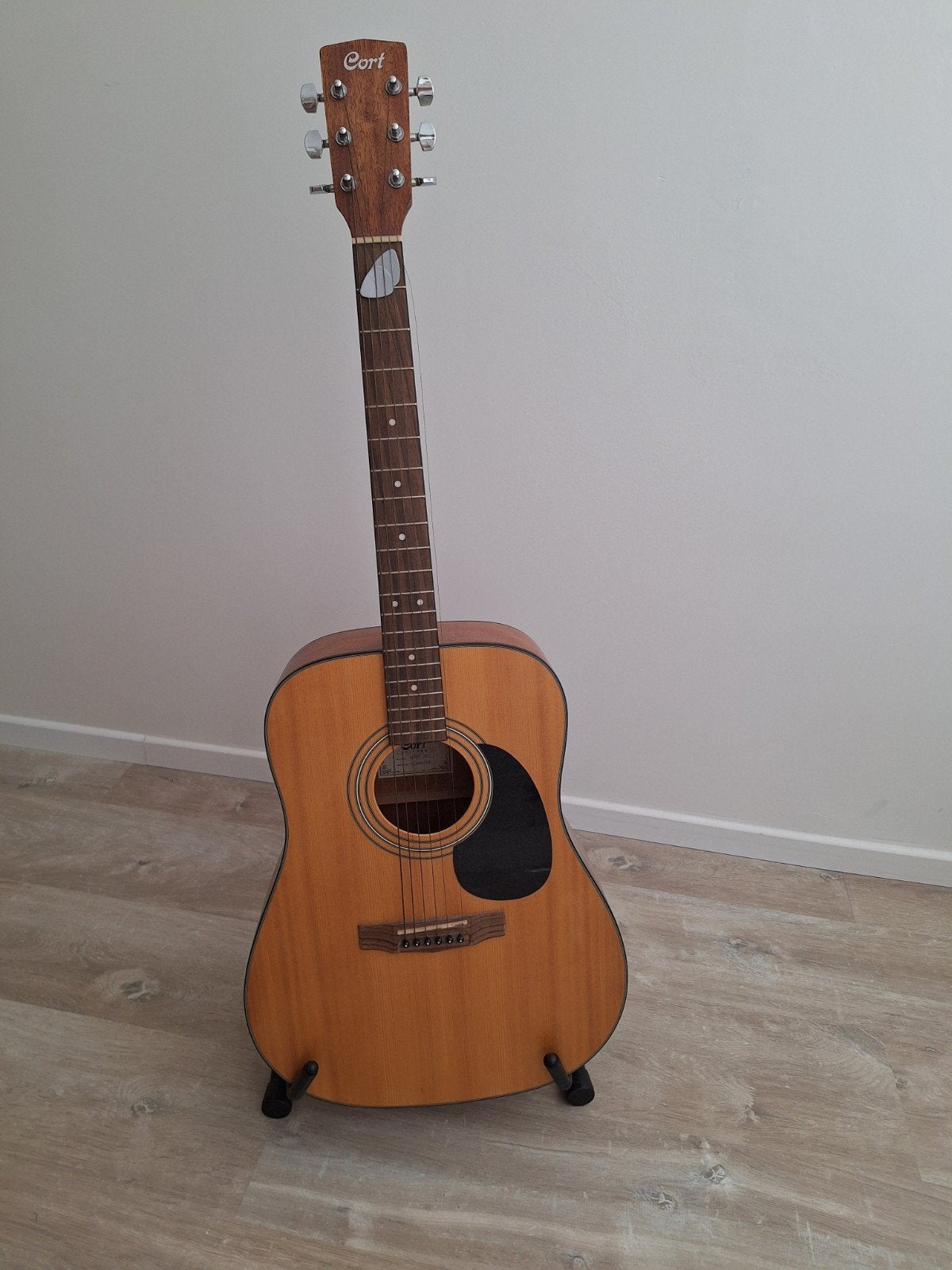 Guitare Cort, Enlèvement