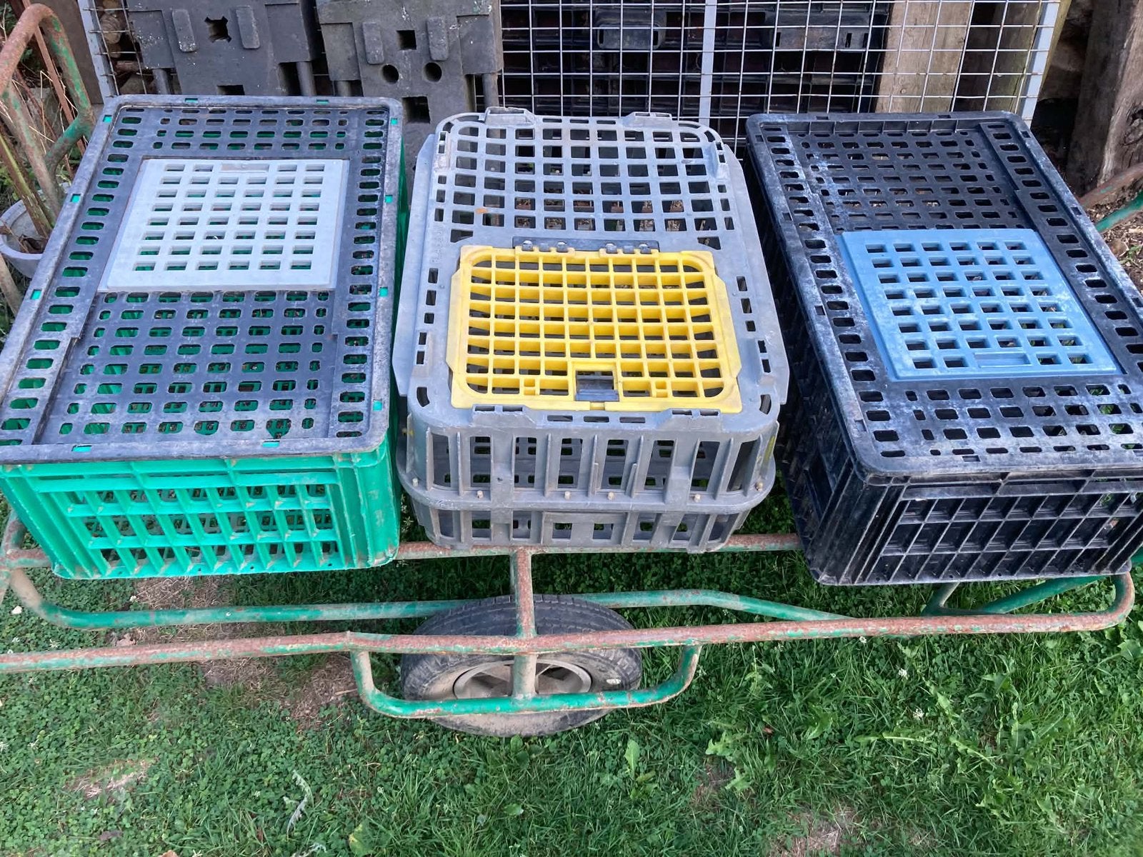 Pluimvee Transportkooien, Dieren en Toebehoren, Meerdere dieren