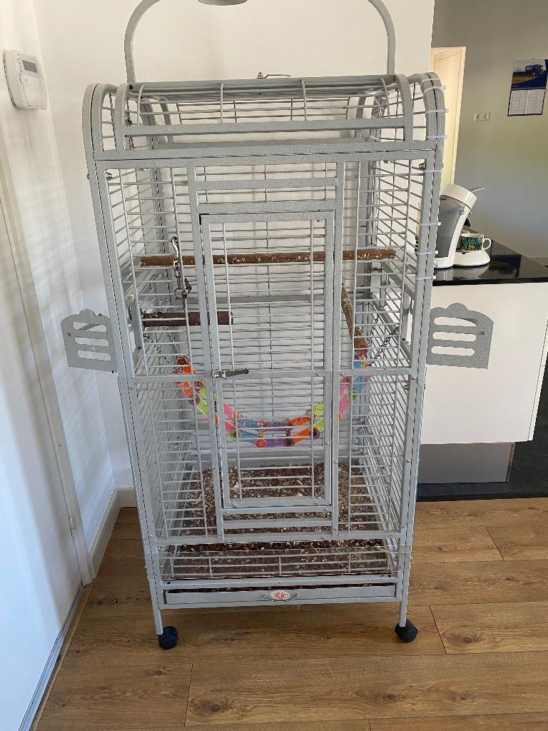 Mooie grote vogel/papegaaien kooi te koop, Animaux & Accessoires, Oiseaux | Cages & Volières, Comme neuf, Cage à oiseaux, Métal