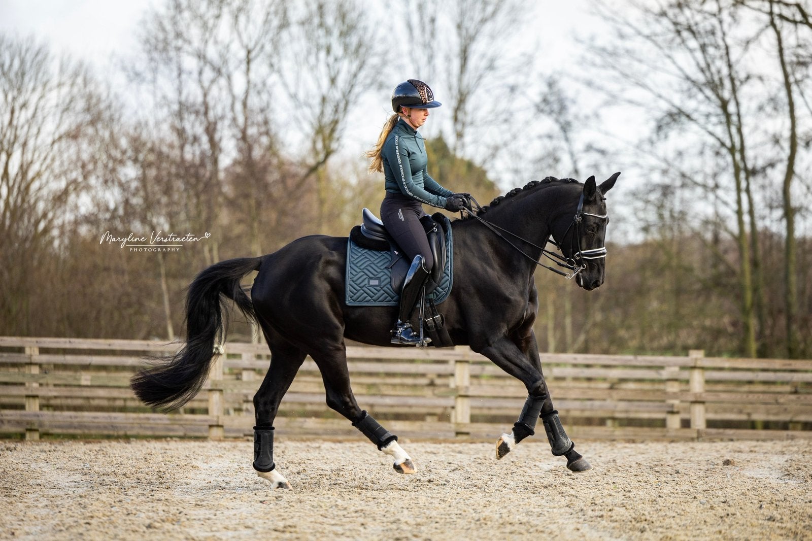 Dressuurles / training aangeboden, Waregem, Oudenaarde,…