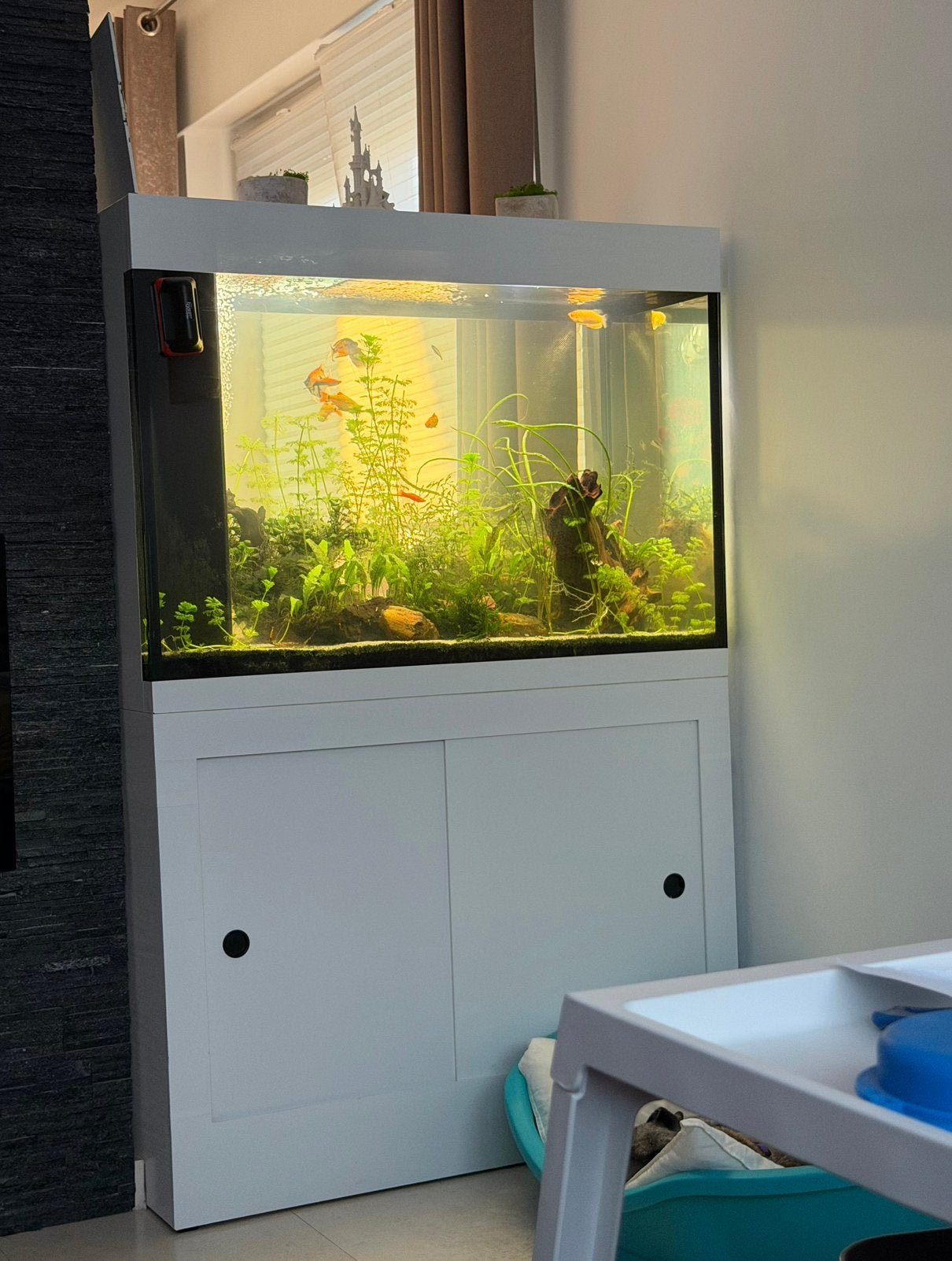AQUARIUM BIO VINYLE 300l - MODELE UNIQUE, Enlèvement, Utilisé, Autres marques, Aquarium d'eau douce rempli