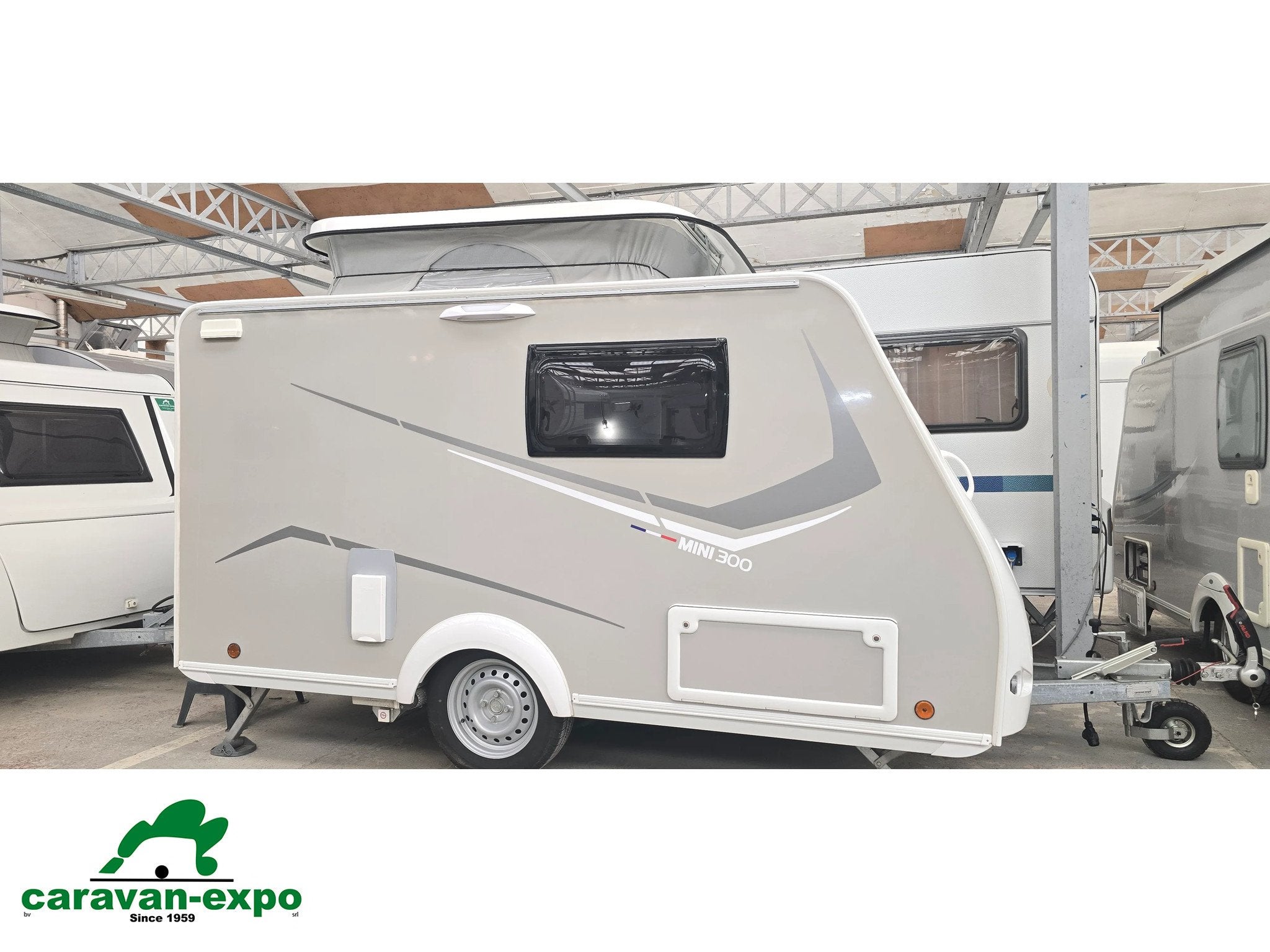 SILVER MINI FREESTYLE 300, Overige merken, Tot en met 2, Bedrijf, 500 - 750 kg