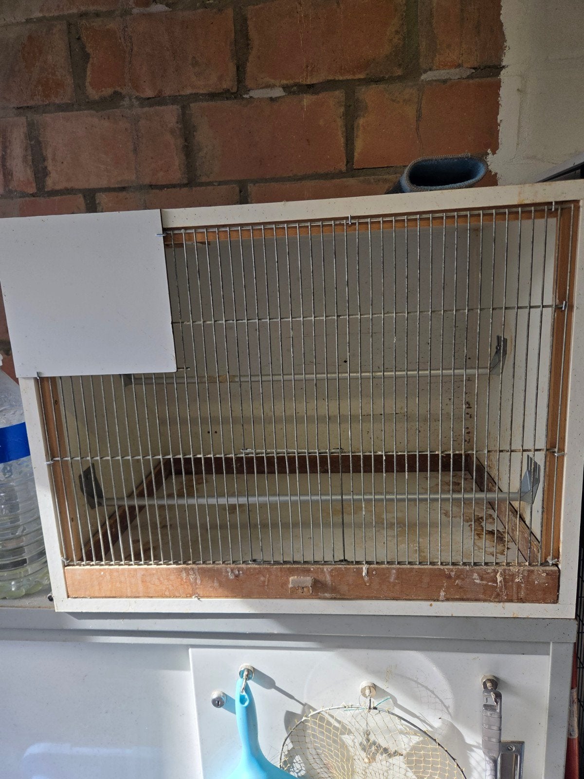 kweekkooi met broedbak, Dieren en Toebehoren, Ophalen