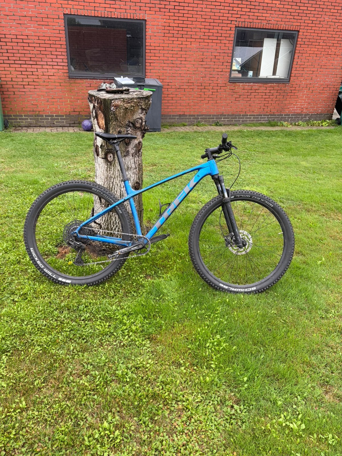 Trek xcaliber 8 12 speed, Enlèvement, Utilisé, Hommes, Frein à disque