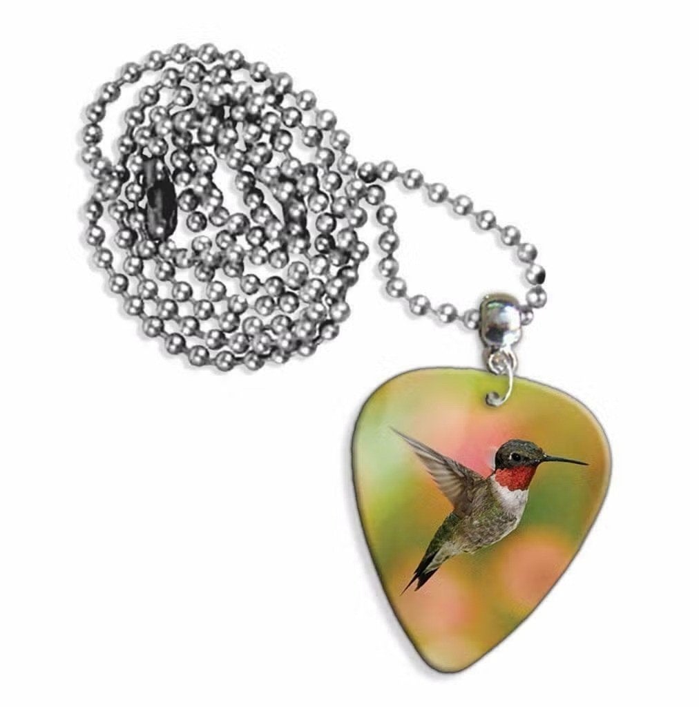 Plectrum ketting of sleutelhanger van een Kolibrie vogel, Ophalen of Verzenden, Nieuw