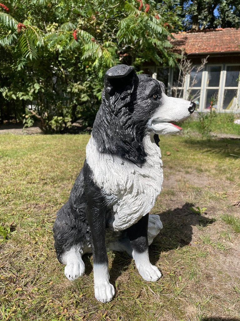 (Tuin)beeld Bordercollie, hond, tuin, kennel 50cm, Tuin en Terras, Ophalen, Nieuw, Kunststof, Dierenbeeld