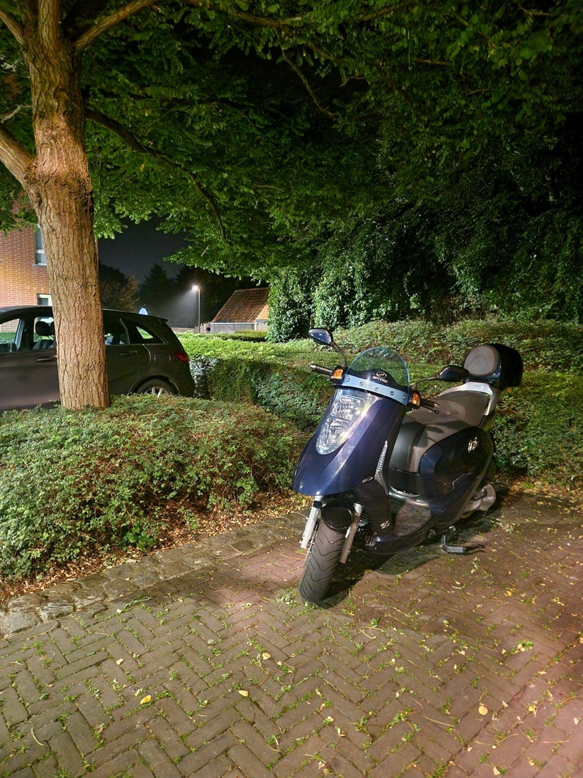 Nipponia Arte 125cc, Particulier, Scooter