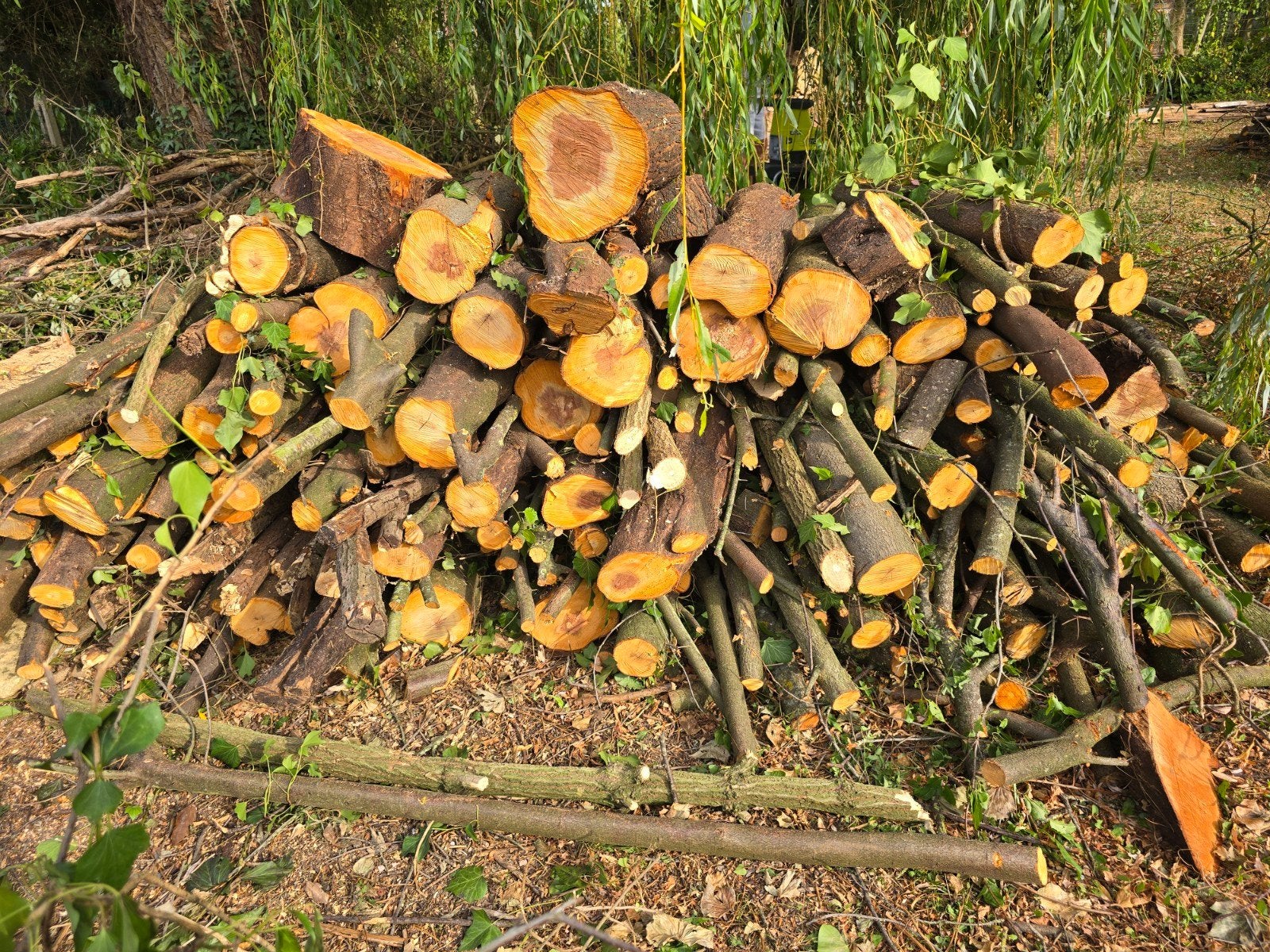 BOIS DE CHAUFFAGE, Tuin en Terras, Brandhout