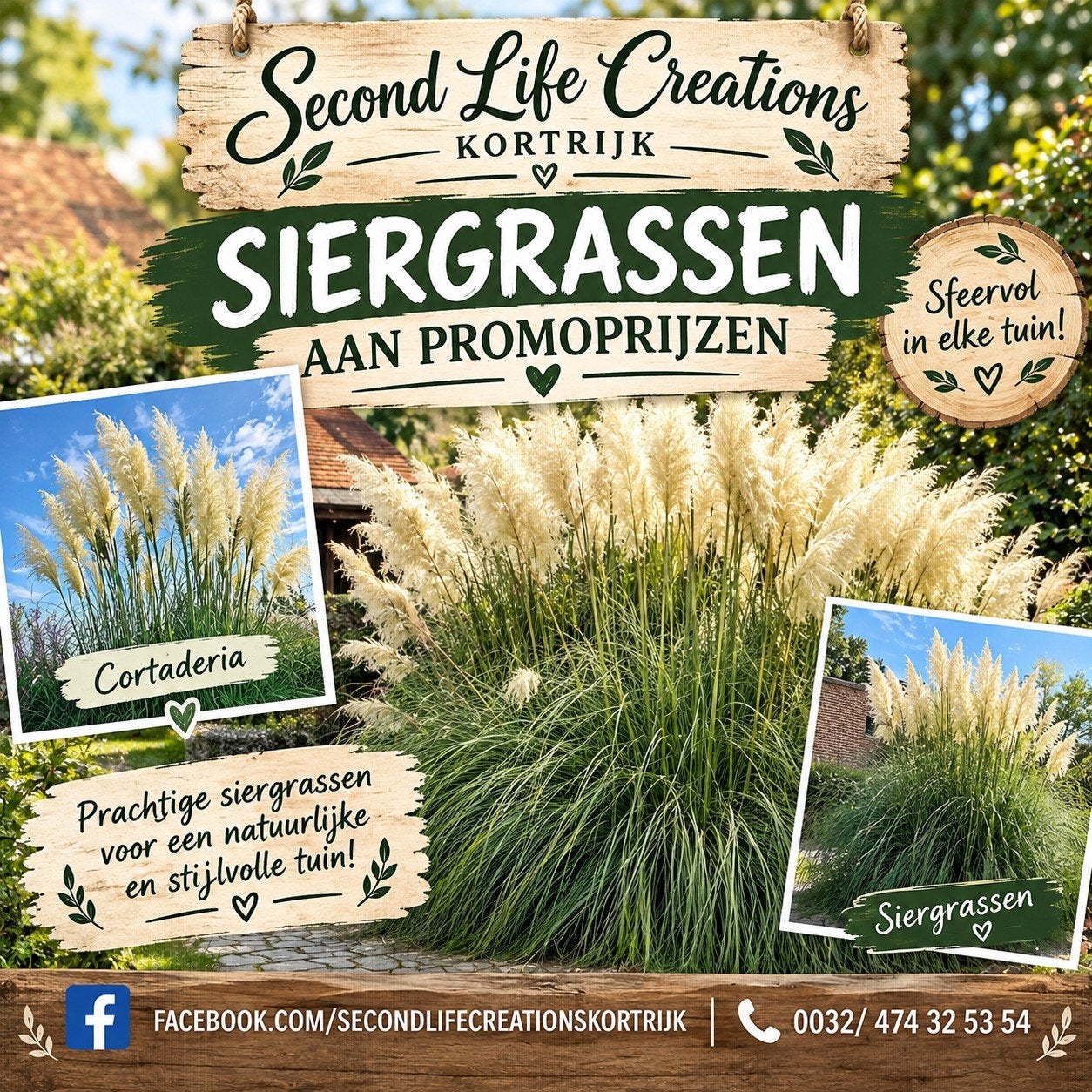 ‼️siergrassen aan promoprijzen ‼️, Tuin en Terras, Ophalen