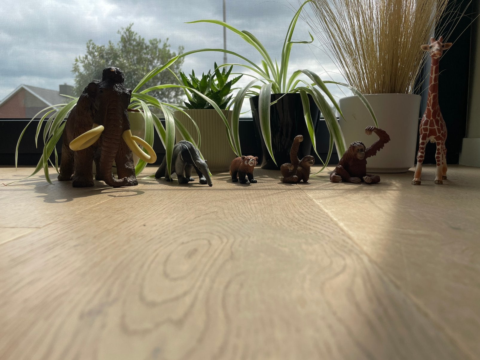 Set van 6 gedetailleerde wilde dieren Schleich speelfiguren, Ophalen of Verzenden, Nieuw, Wild dier, Beeldje of Figuurtje