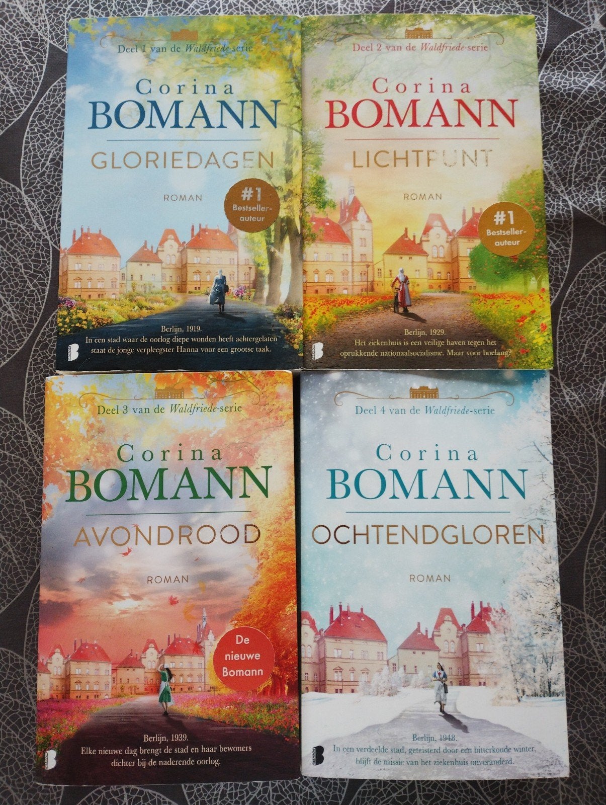 De Waldfriede serie, Livres, Fantastique, Enlèvement, Comme neuf, Corina Bomann