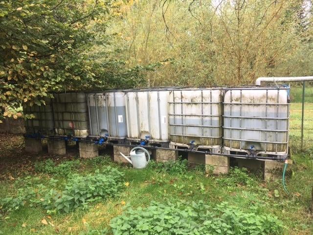 Cubi de 1000 L, 150 litres ou plus, Synthétique, Enlèvement, Utilisé